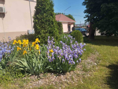 В Год благоустройства Бобруйский лесхоз активно участвует в создании комфортной и эстетически привлекательной среды
